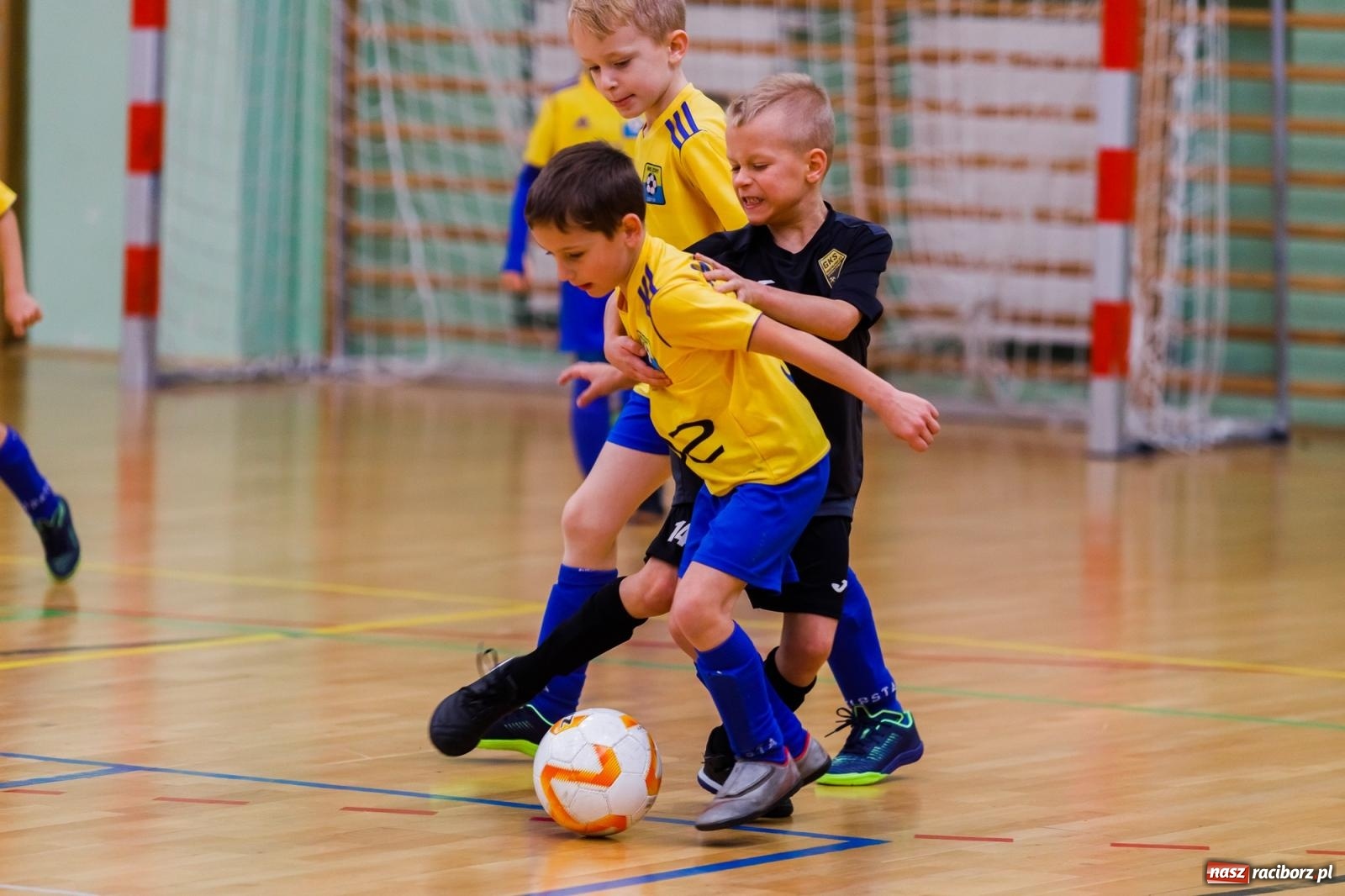 Zdjęcie w galerii na portalu naszraciborz.pl: Piłkarskie zmagania w hali przy Łąkowej. Turniej rocznika 2015 [FOTO] wiadomości z regionu