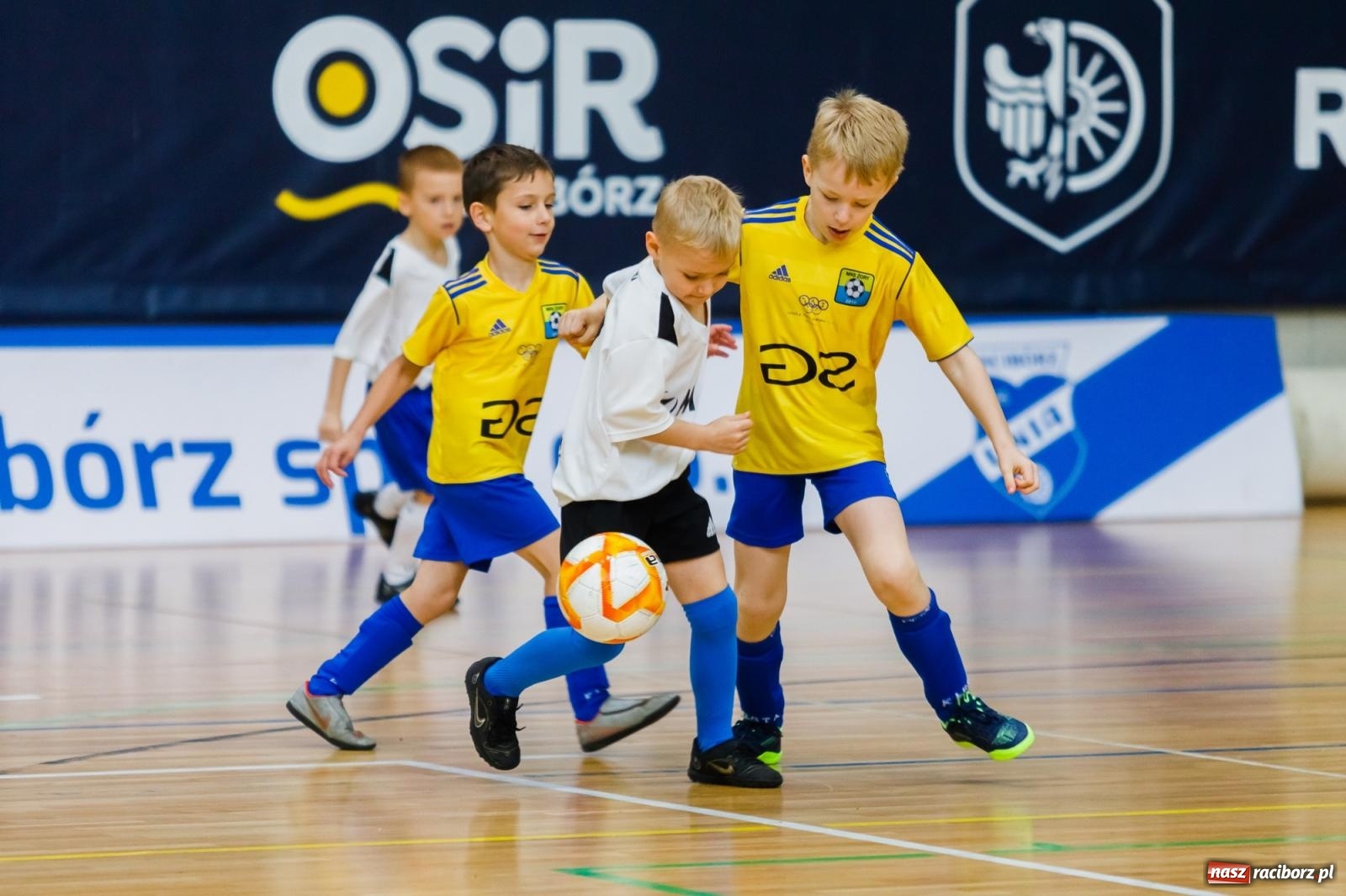 Zdjęcie w galerii na portalu naszraciborz.pl: Piłkarskie zmagania w hali przy Łąkowej. Turniej rocznika 2015 [FOTO] wiadomości z regionu