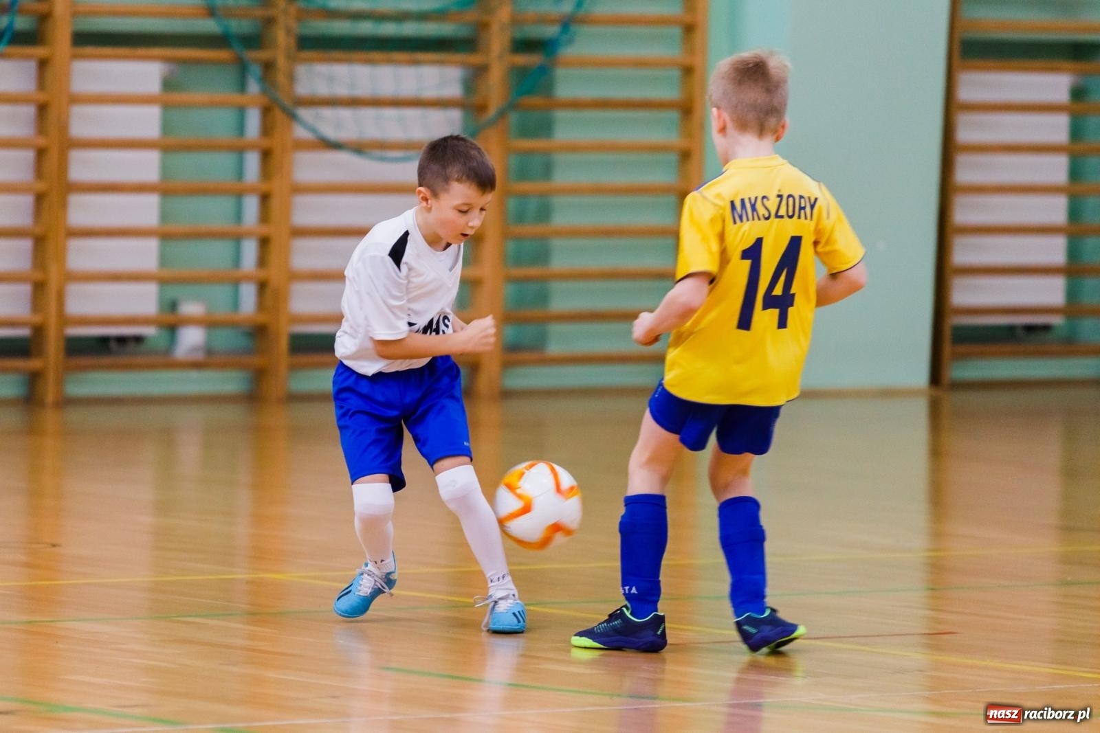Zdjęcie w galerii na portalu naszraciborz.pl: Piłkarskie zmagania w hali przy Łąkowej. Turniej rocznika 2015 [FOTO] wiadomości z regionu