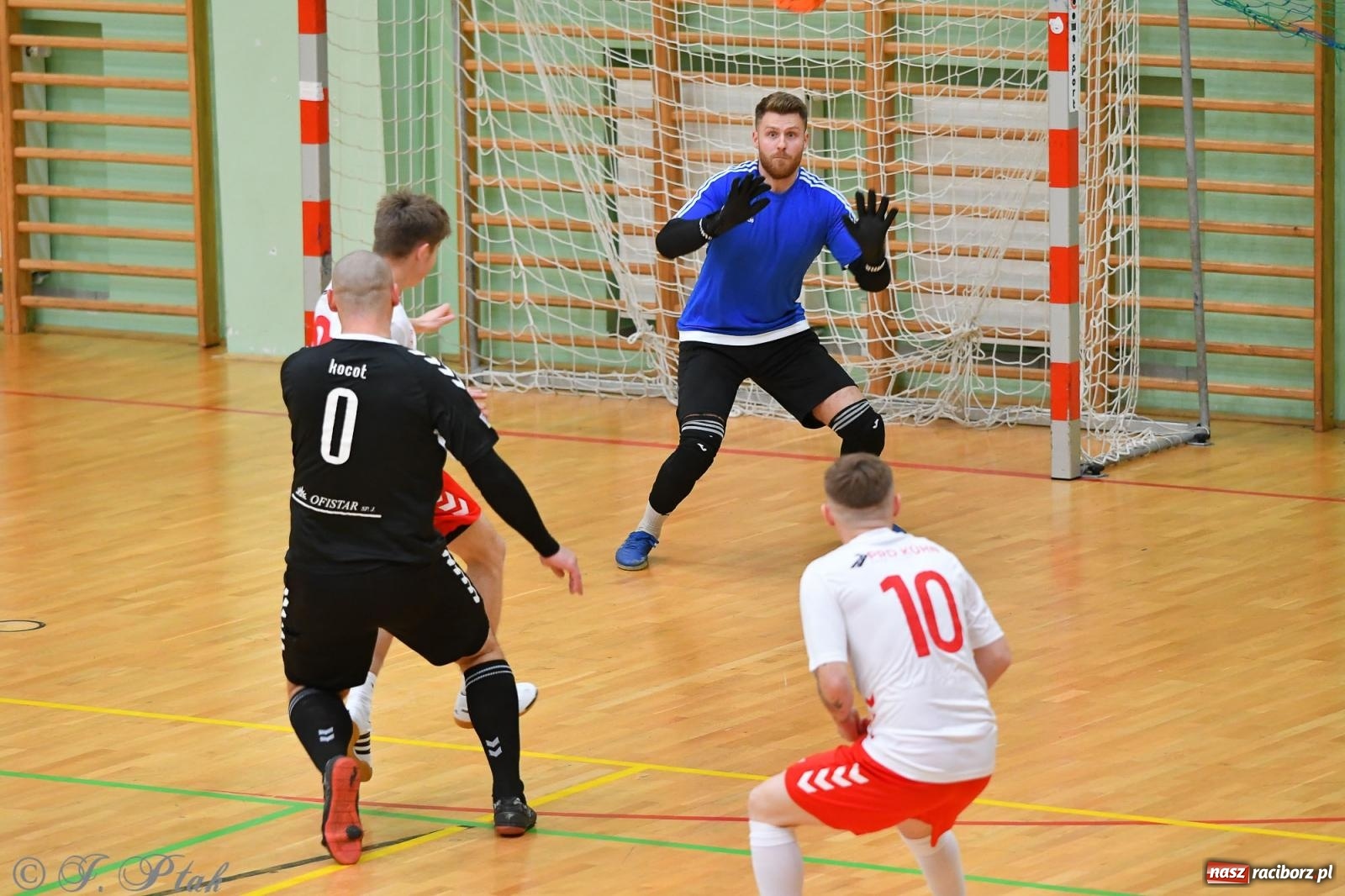 Zdjęcie w galerii na portalu naszraciborz.pl: Halowe emocje na start. Wróciły rozgrywki HLPN [FOTO i WYNIKI] wiadomości z regionu