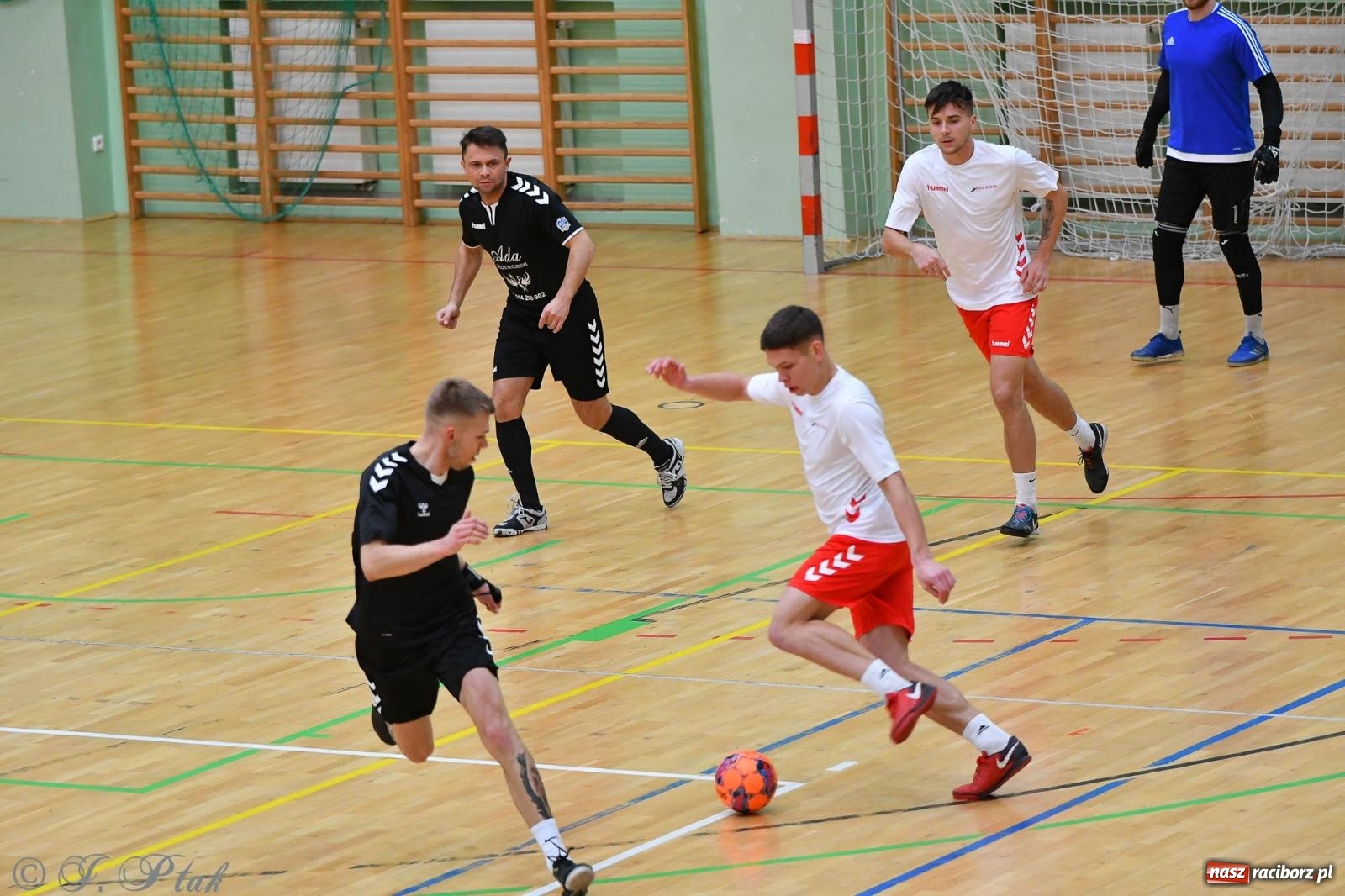 Zdjęcie w galerii na portalu naszraciborz.pl: Halowe emocje na start. Wróciły rozgrywki HLPN [FOTO i WYNIKI] wiadomości z regionu