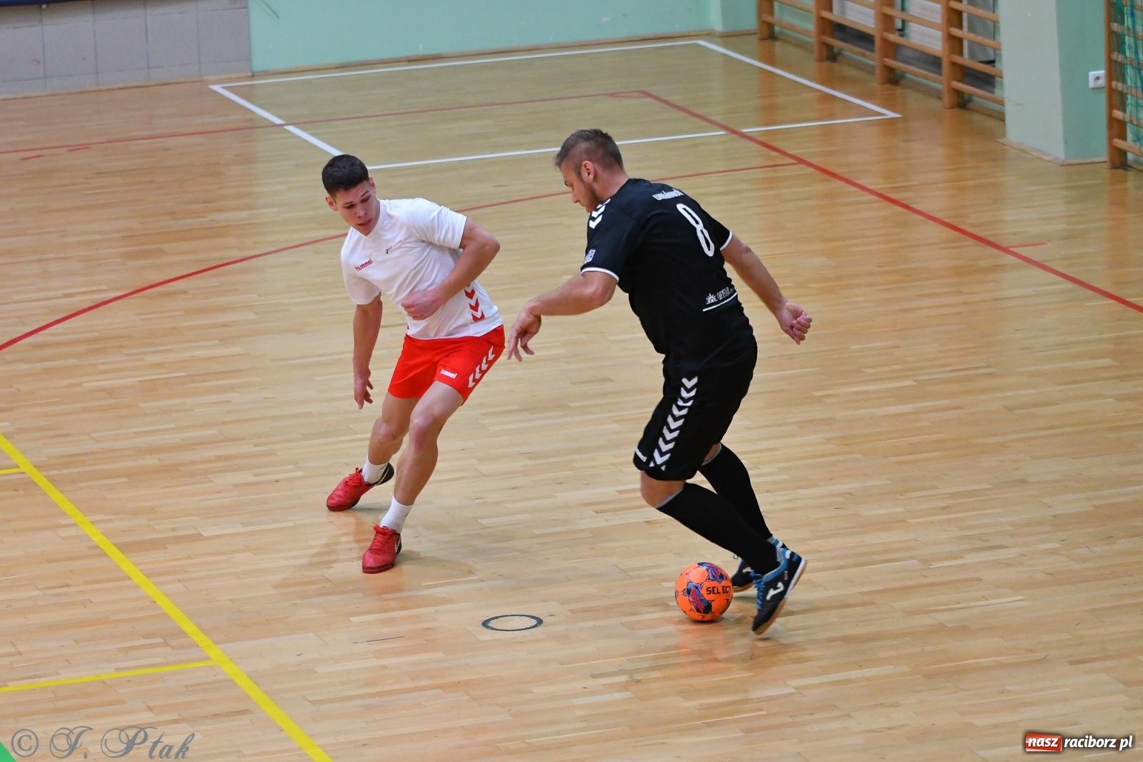 Zdjęcie w galerii na portalu naszraciborz.pl: Halowe emocje na start. Wróciły rozgrywki HLPN [FOTO i WYNIKI] wiadomości z regionu