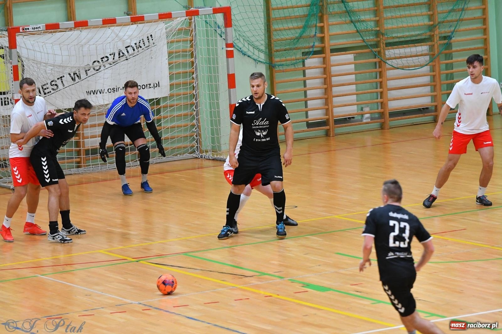 Zdjęcie w galerii na portalu naszraciborz.pl: Halowe emocje na start. Wróciły rozgrywki HLPN [FOTO i WYNIKI] wiadomości z regionu