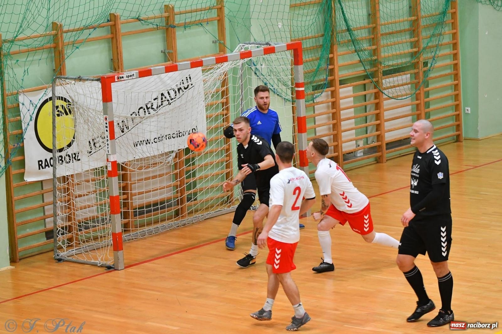 Zdjęcie w galerii na portalu naszraciborz.pl: Halowe emocje na start. Wróciły rozgrywki HLPN [FOTO i WYNIKI] wiadomości z regionu