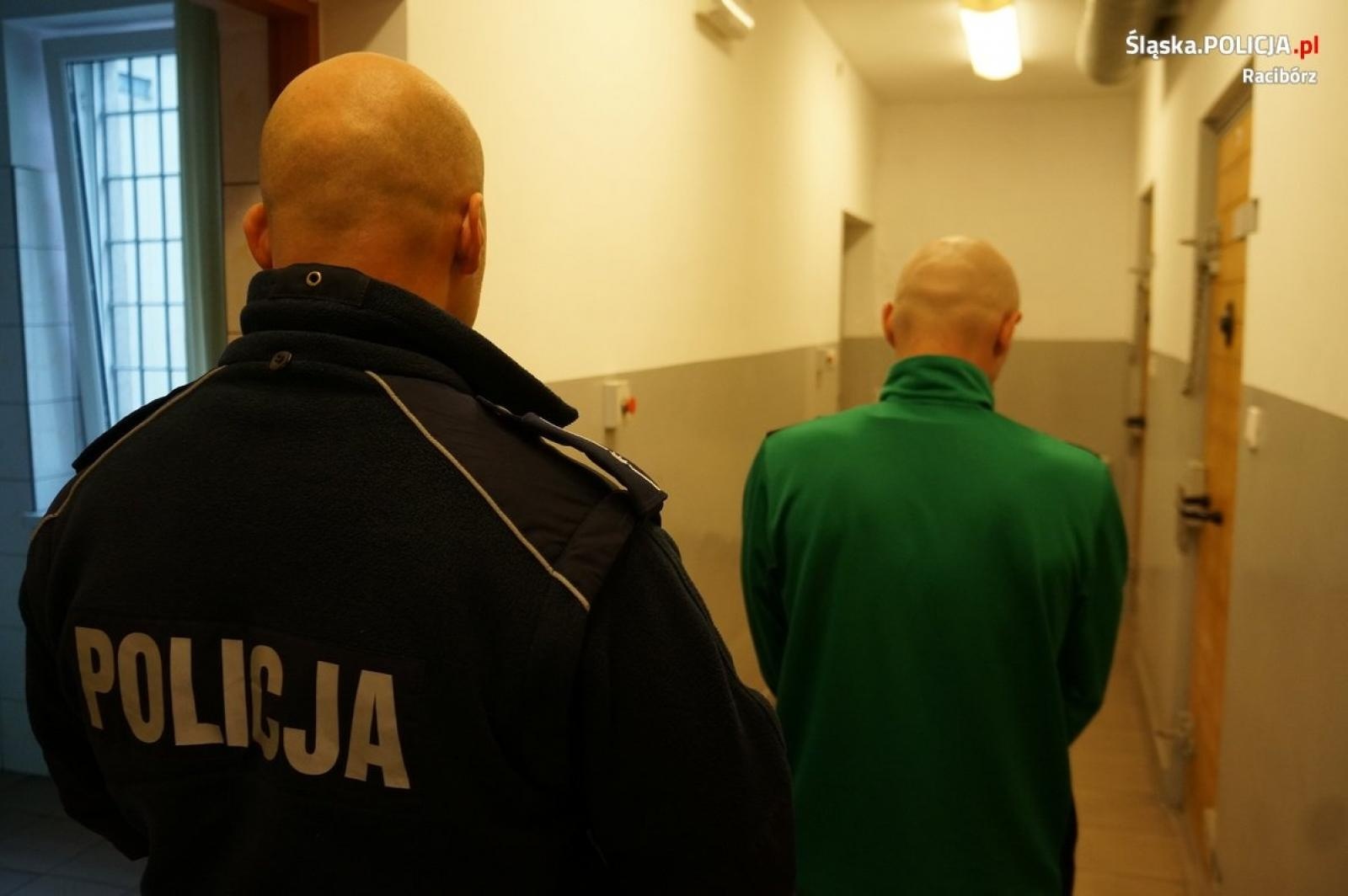 Zdjęcie w galerii na portalu naszraciborz.pl: Blisko sto działek marihuany w mieszkaniu w Raciborzu wiadomości z regionu