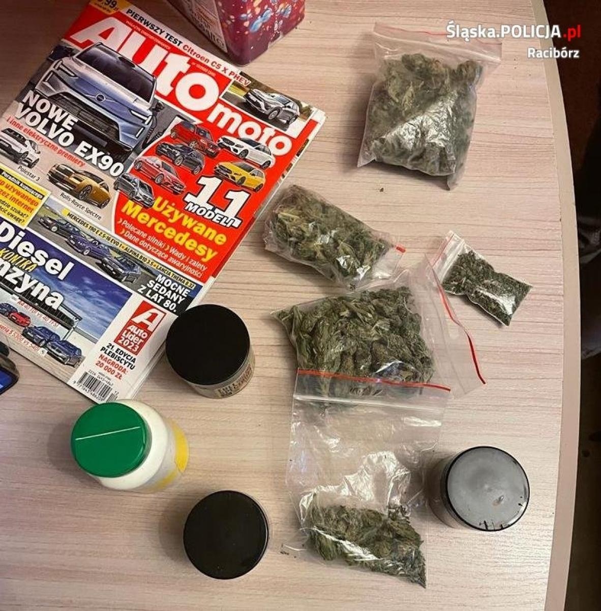 Zdjęcie w galerii na portalu naszraciborz.pl: Blisko sto działek marihuany w mieszkaniu w Raciborzu wiadomości z regionu