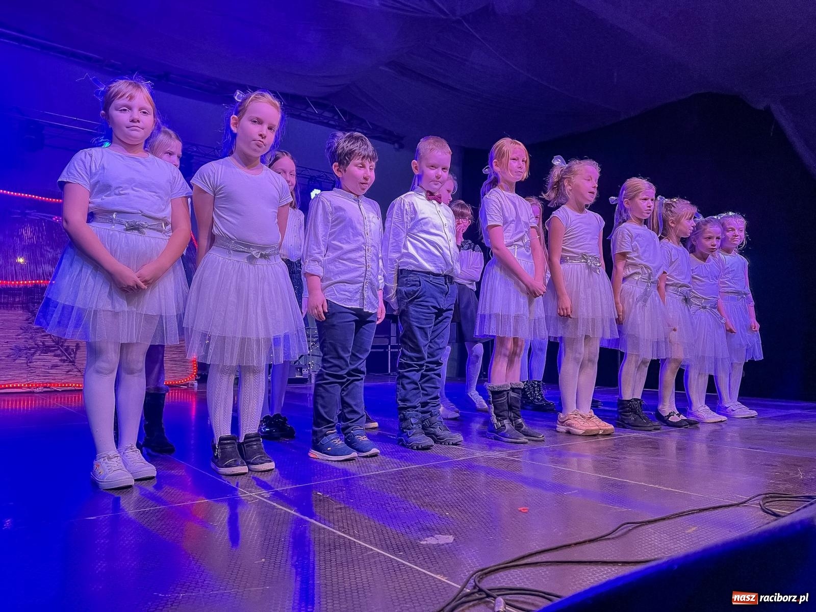 Zdjęcie w galerii na portalu naszraciborz.pl: Tłumy na kiermaszu bożonarodzeniowym w Pietrowicach Wielkich [FOTO i WIDEO] wiadomości z regionu