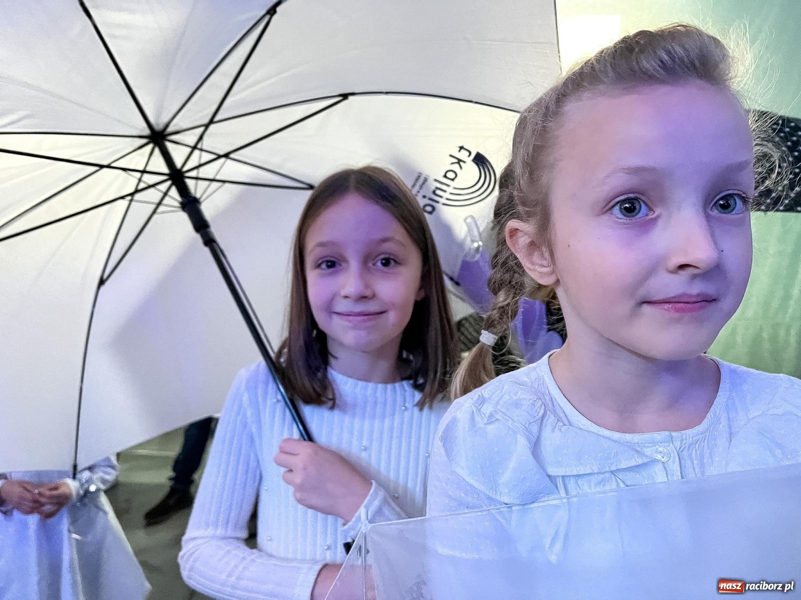 Zdjęcie w galerii na portalu naszraciborz.pl: Tłumy na kiermaszu bożonarodzeniowym w Pietrowicach Wielkich [FOTO i WIDEO] wiadomości z regionu