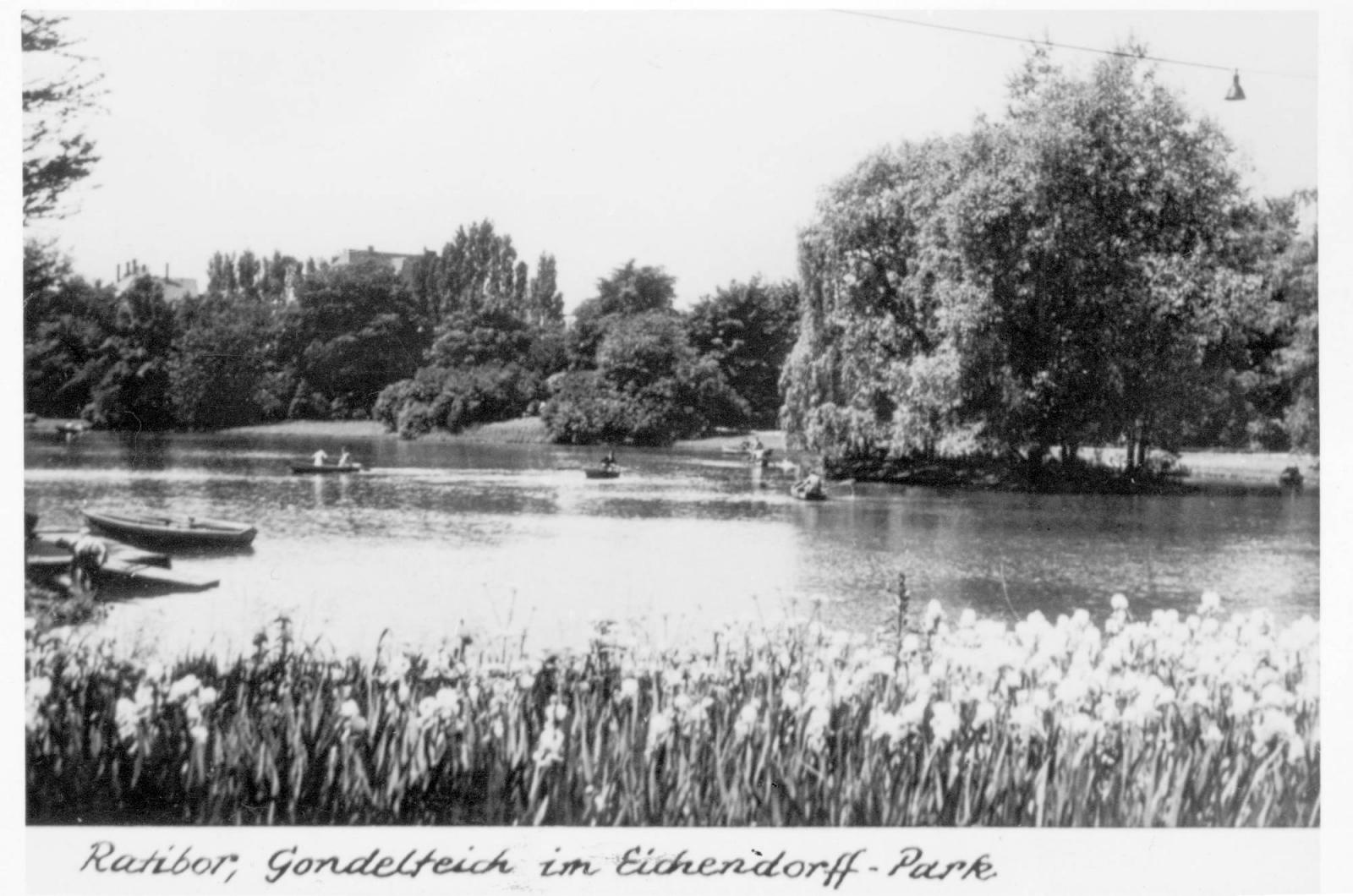Zdjęcie w galerii na portalu naszraciborz.pl: Obywatel Niemiec podarował miastu pocztówki starego Raciborza [FOTO] wiadomości z regionu