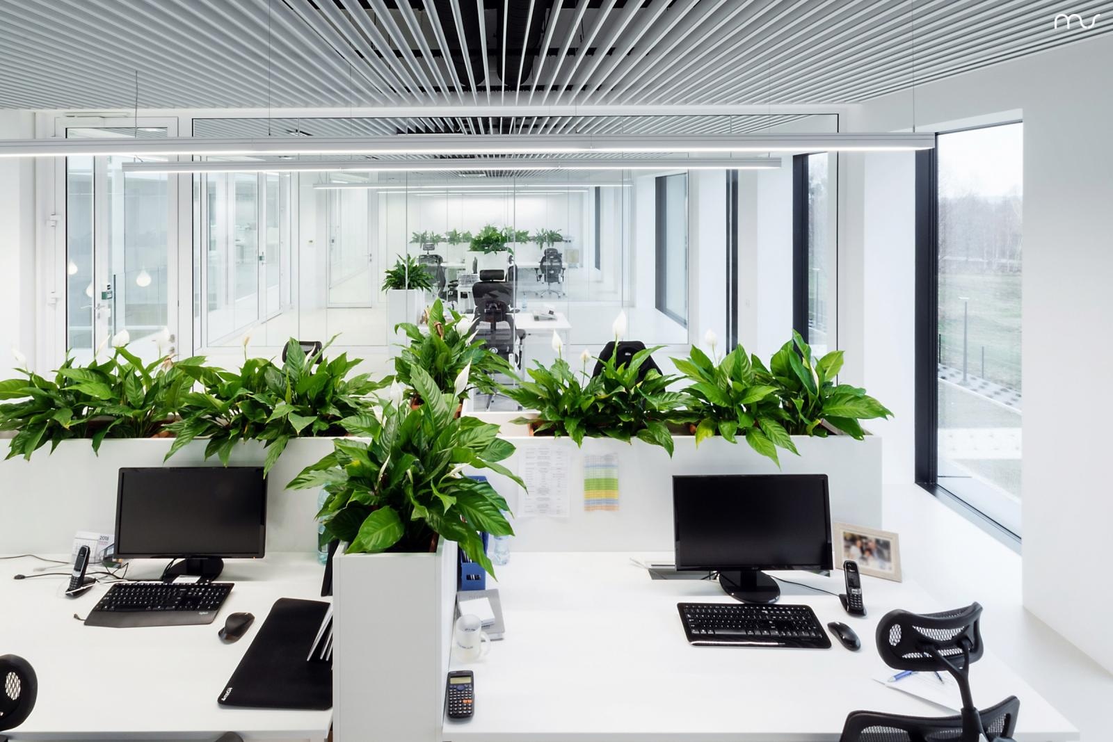 Zdjęcie w galerii na portalu naszraciborz.pl: PIVEXIN TECHNOLOGY Sp. z o. o. z siedzibą w Babicach poszukuje pracowników, trwa rekrutacja do Działu IT i Techniczno-produktowego wiadomości z regionu