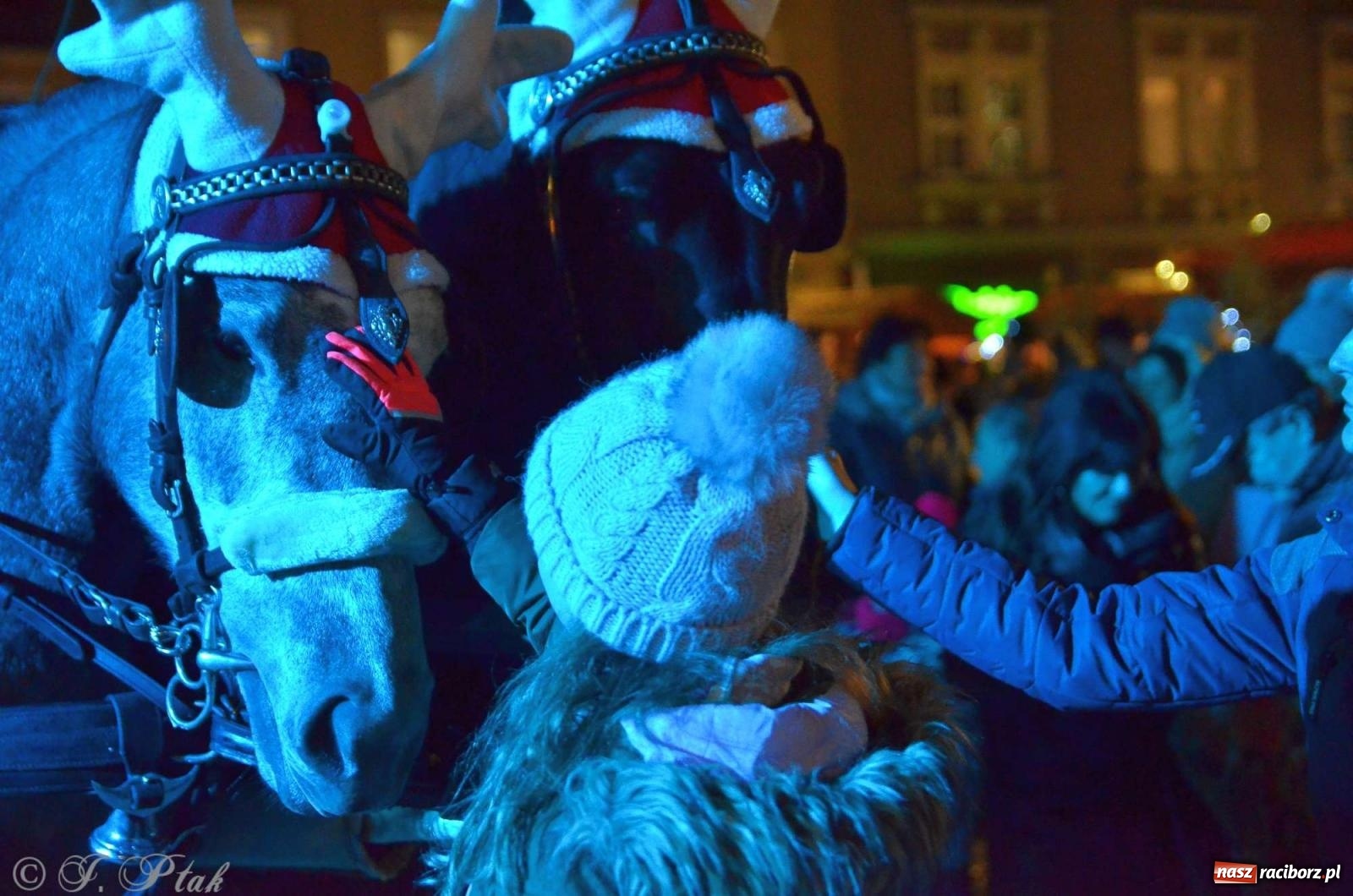 Zdjęcie w galerii na portalu naszraciborz.pl: Moczka od Jabłonek, karoca i rozświetlona choinka wiadomości z regionu