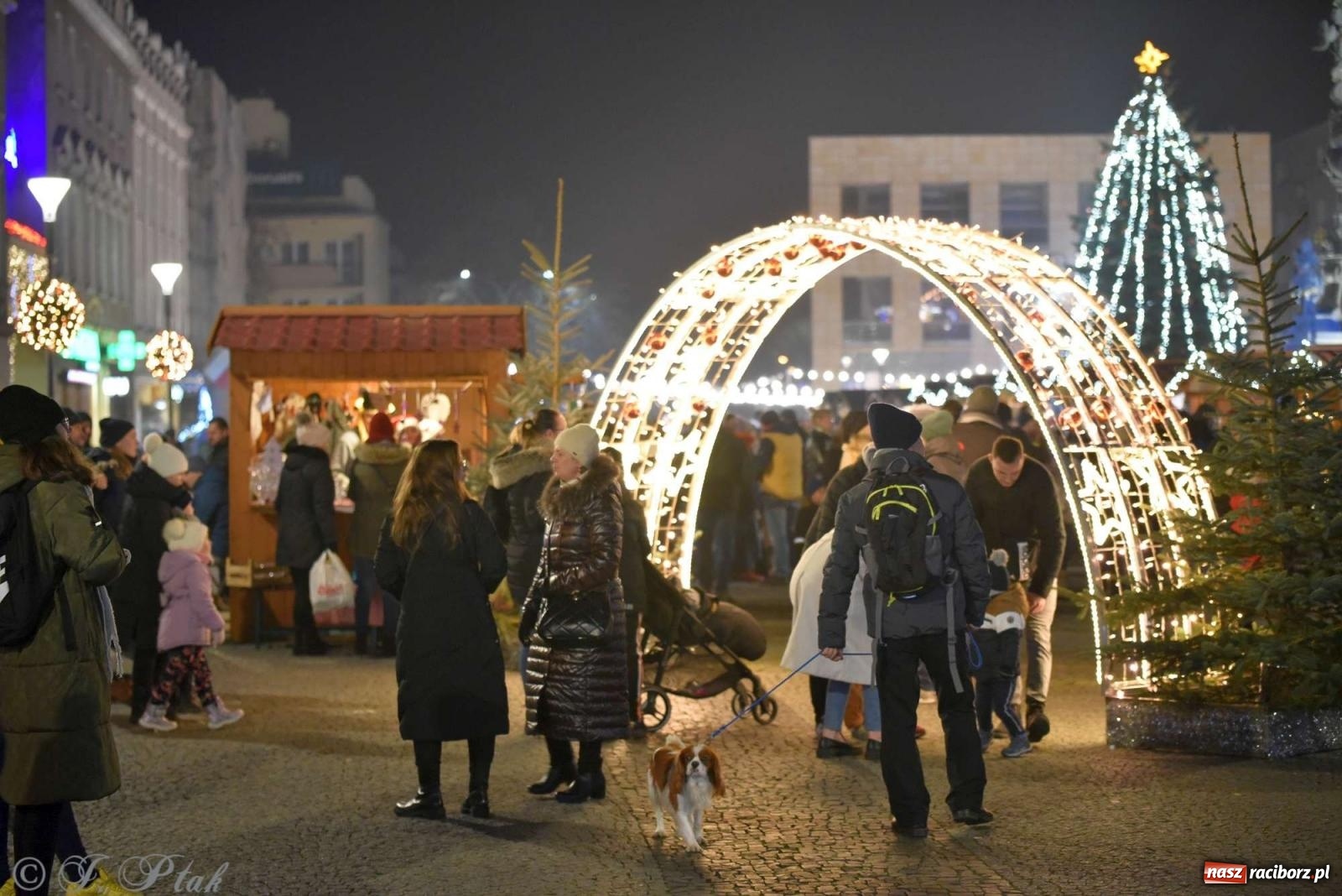 Zdjęcie w galerii na portalu naszraciborz.pl: Laserowa bajeczka, Plania i zupa z Gamowa - sobota na jarmarku w Raciborzu [WIDEO] wiadomości z regionu