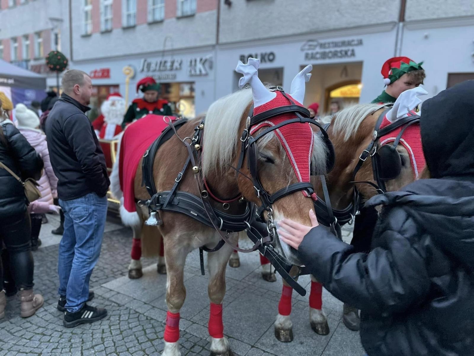 Zdjęcie w galerii na portalu naszraciborz.pl: Niedziela na raciborskim jarmarku [WIDEO] wiadomości z regionu