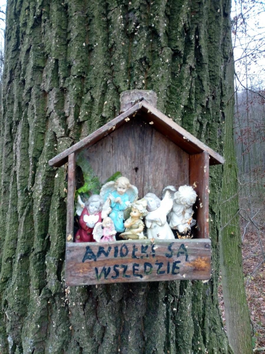 Zdjęcie w galerii na portalu naszraciborz.pl: Pomiędzy Kornicami a Żerdzinami powstaje ścieżka rowerowa wiadomości z regionu