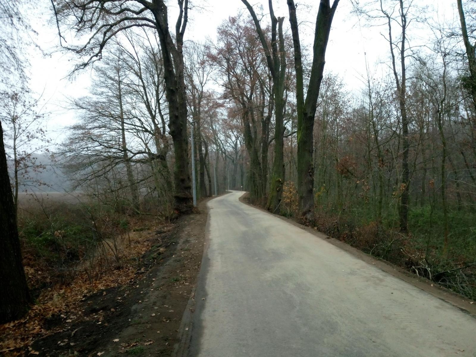 Zdjęcie w galerii na portalu naszraciborz.pl: Pomiędzy Kornicami a Żerdzinami powstaje ścieżka rowerowa wiadomości z regionu