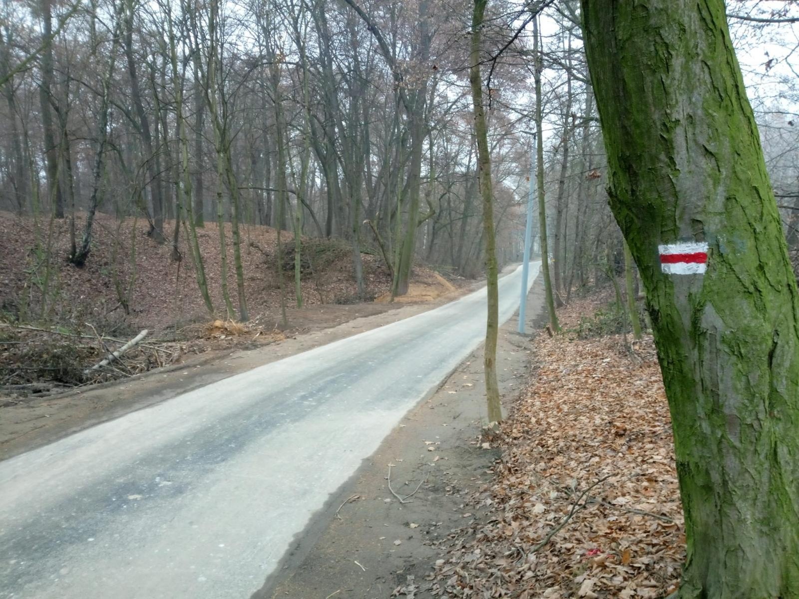 Zdjęcie w galerii na portalu naszraciborz.pl: Pomiędzy Kornicami a Żerdzinami powstaje ścieżka rowerowa wiadomości z regionu