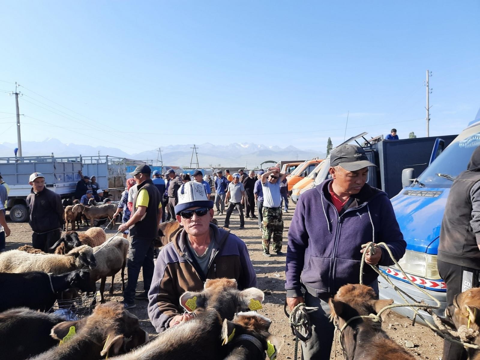 Zdjęcie w galerii na portalu naszraciborz.pl: Kirgistan - w cieniu Jedwabnego Szlaku [RELACJA] wiadomości z regionu