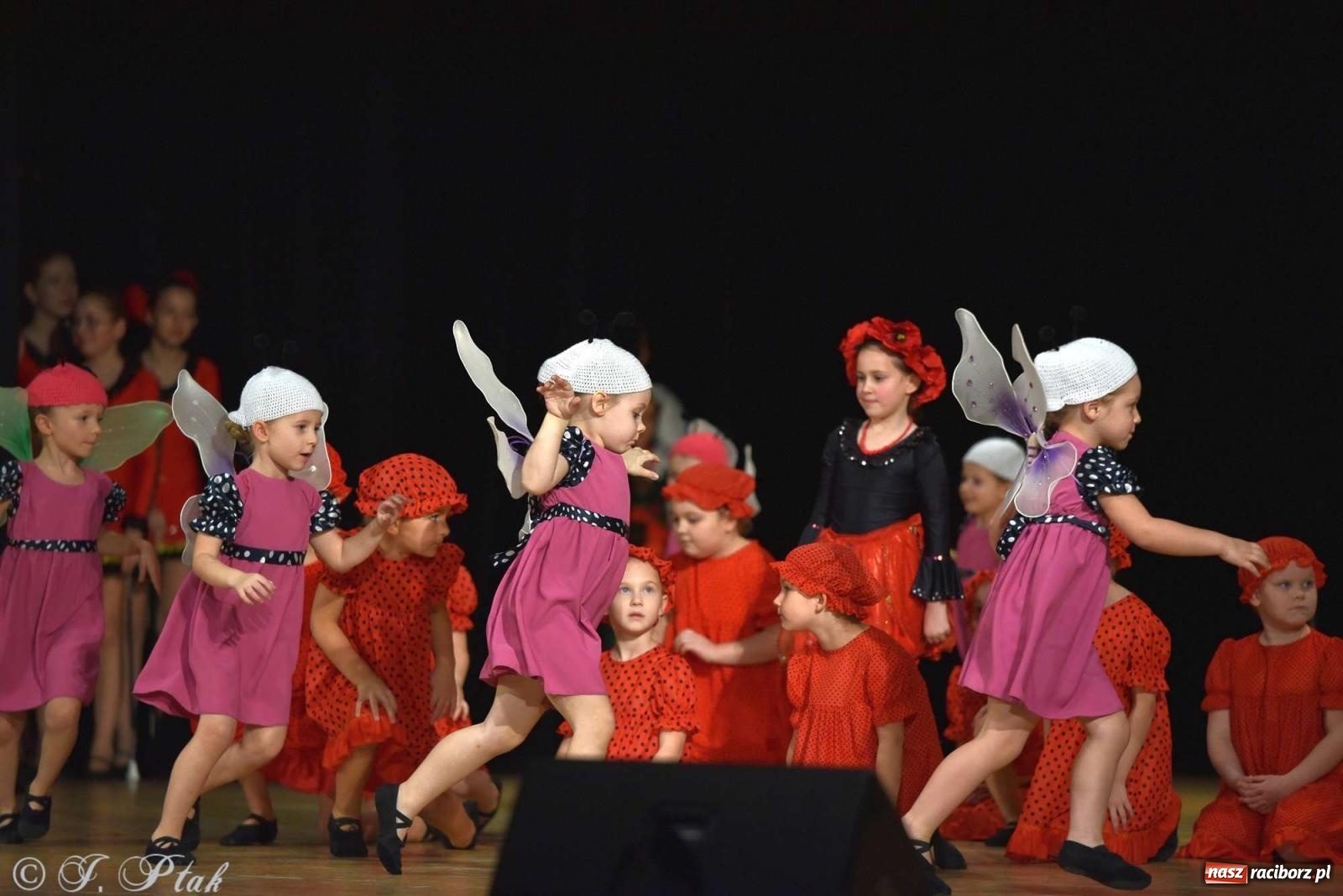 Zdjęcie w galerii na portalu naszraciborz.pl: Wspomnienia i życzenia. Ćwierć wieku ze Źródłem [FOTO i WIDEO] wiadomości z regionu