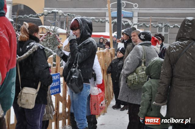 Zdjęcie w galerii na portalu naszraciborz.pl: Do reniferów ustawiały się kolejki wiadomości z regionu