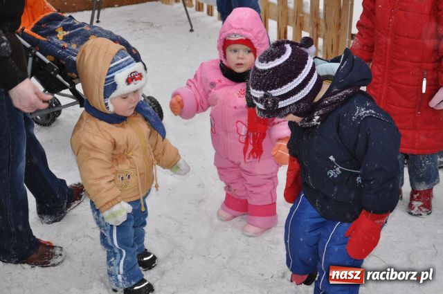 Zdjęcie w galerii na portalu naszraciborz.pl: Do reniferów ustawiały się kolejki wiadomości z regionu