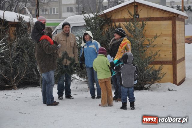 Zdjęcie w galerii na portalu naszraciborz.pl: Do reniferów ustawiały się kolejki wiadomości z regionu