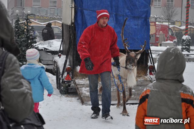 Zdjęcie w galerii na portalu naszraciborz.pl: Do reniferów ustawiały się kolejki wiadomości z regionu