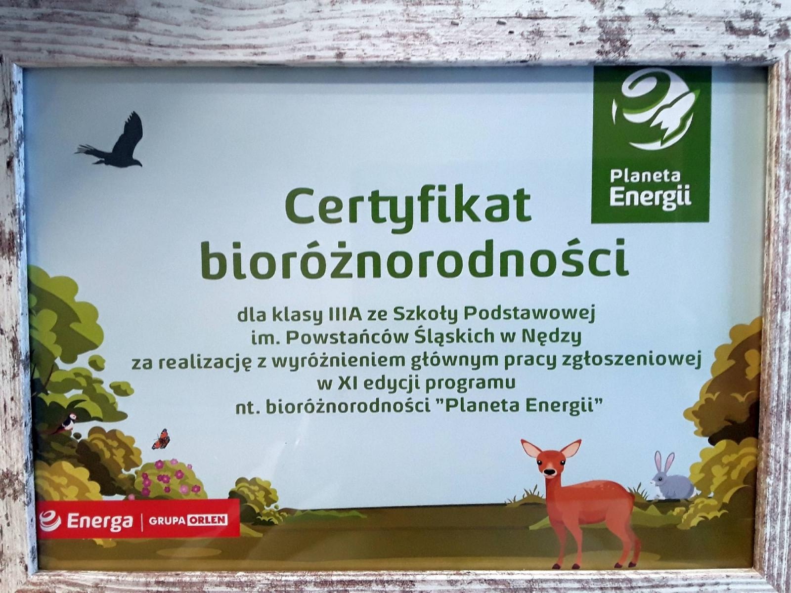 Zdjęcie w galerii na portalu naszraciborz.pl: Uczniowie z Nędzy wylądowali na Planecie Energii. Mają nagrodę główną i 10 tys. zł! wiadomości z regionu