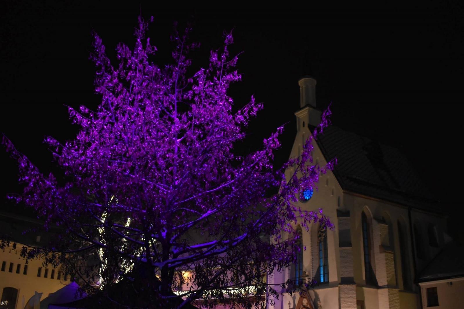 Zdjęcie w galerii na portalu naszraciborz.pl: Zamkowy jarmark 2022 - dzień pierwszy za nami [FOTO] wiadomości z regionu
