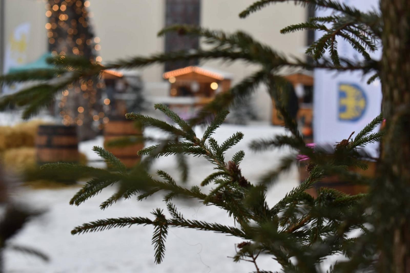 Zdjęcie w galerii na portalu naszraciborz.pl: Zamkowy jarmark 2022 - dzień pierwszy za nami [FOTO] wiadomości z regionu