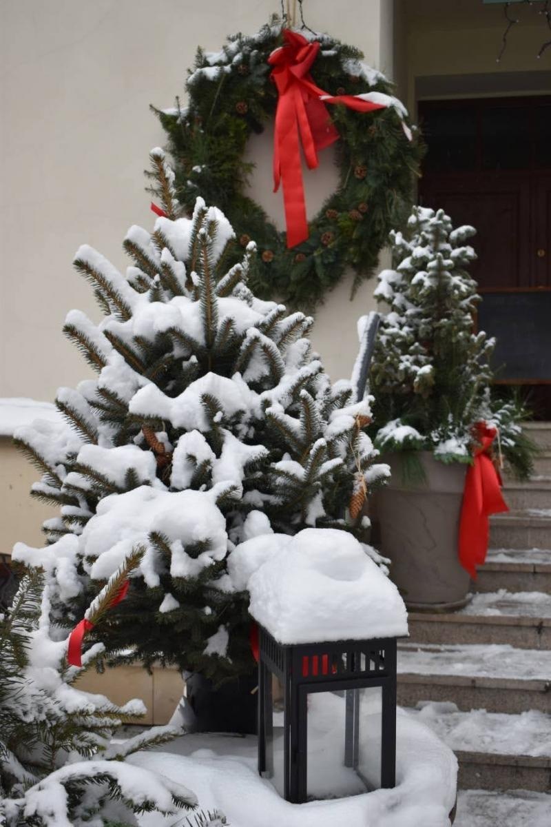 Zdjęcie w galerii na portalu naszraciborz.pl: Zamkowy jarmark 2022 - dzień pierwszy za nami [FOTO] wiadomości z regionu