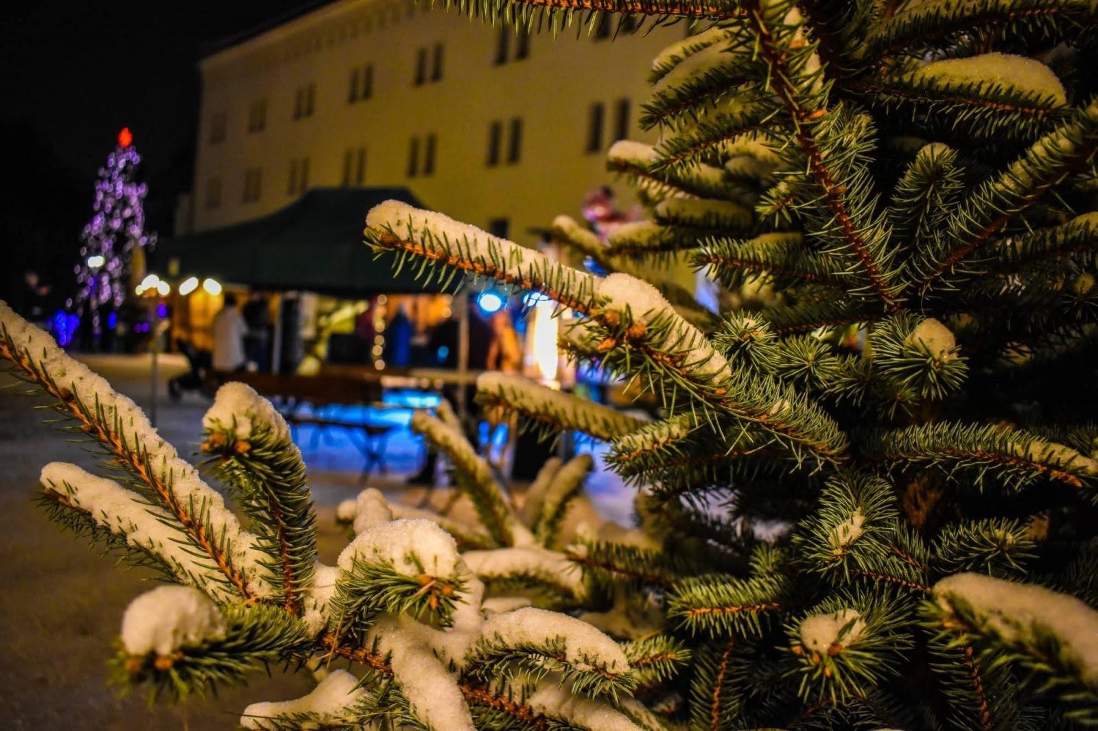 Zdjęcie w galerii na portalu naszraciborz.pl: Zamkowy jarmark 2022 - dzień pierwszy za nami [FOTO] wiadomości z regionu