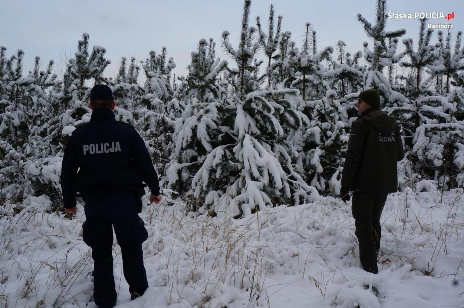 Zdjęcie w galerii na portalu naszraciborz.pl: Choinka 2022. Wspólne patrole policji i leśników wiadomości z regionu