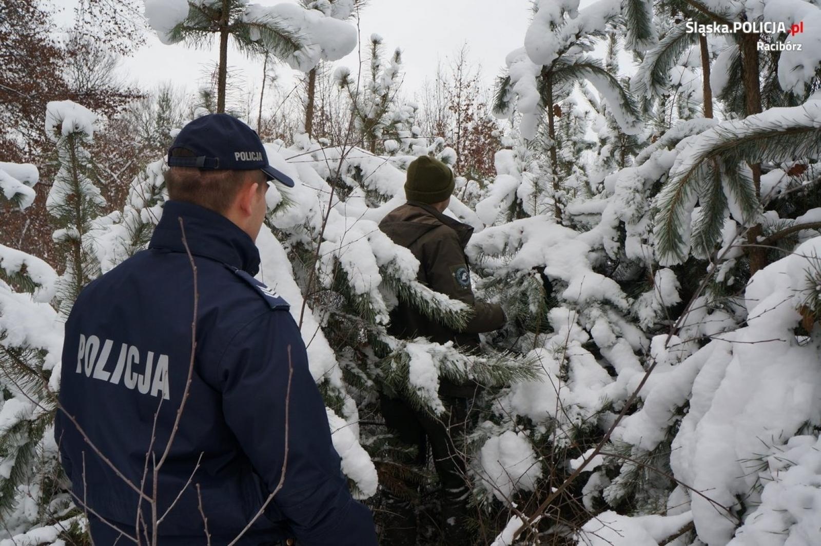 Zdjęcie w galerii na portalu naszraciborz.pl: Choinka 2022. Wspólne patrole policji i leśników wiadomości z regionu
