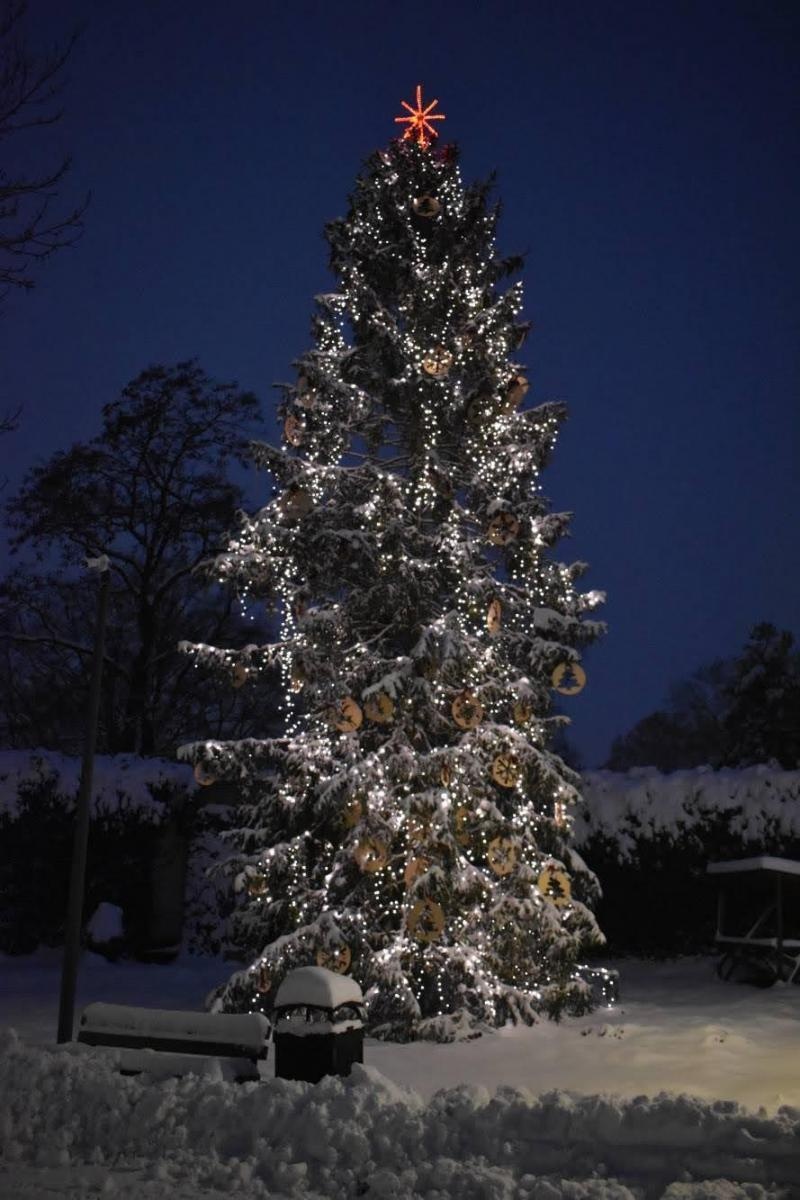 Zdjęcie w galerii na portalu naszraciborz.pl: Jarmark górnej Odry na raciborskim zamku - dzień drugi wiadomości z regionu