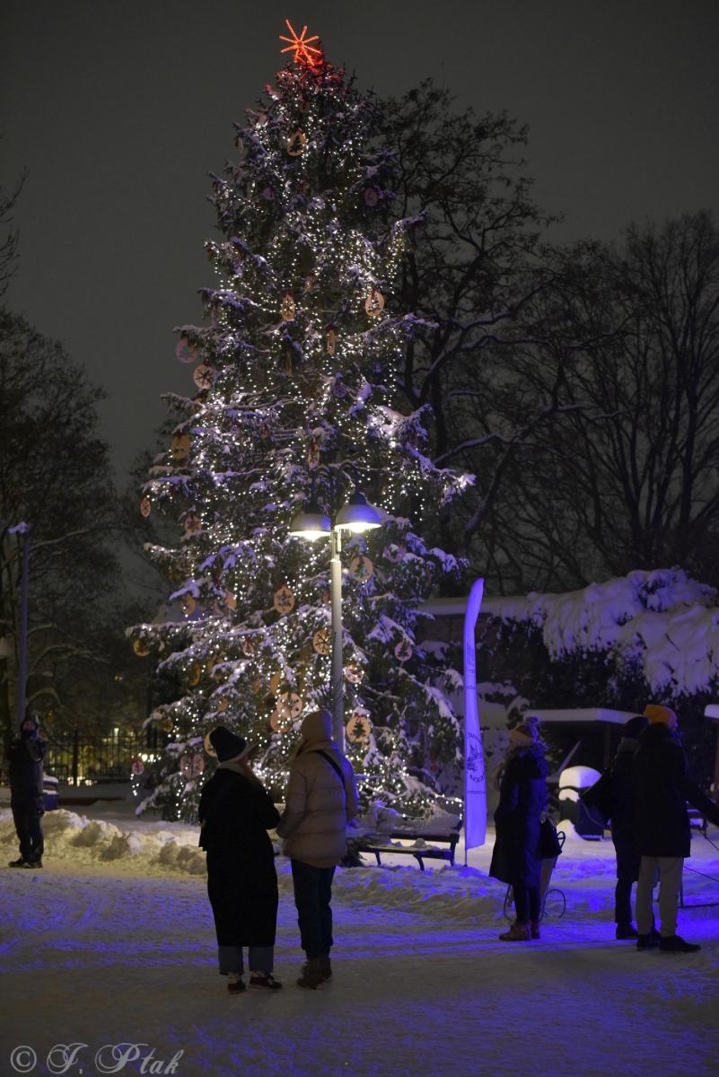 Zdjęcie w galerii na portalu naszraciborz.pl: Sobotni zamkowy jarmark ze śpiewem i folklorem wiadomości z regionu