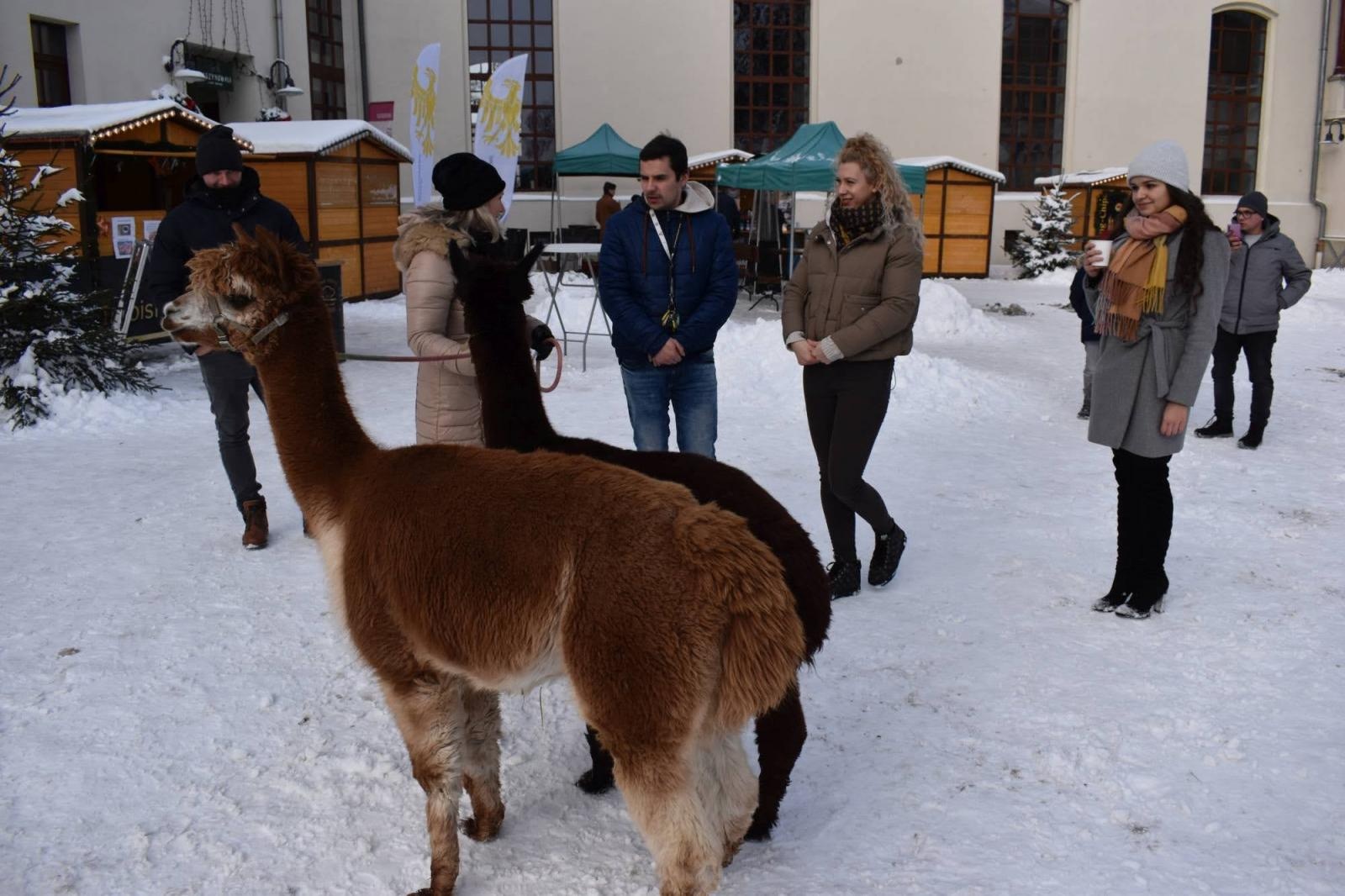 Zdjęcie w galerii na portalu naszraciborz.pl: Mikołaj zszedł z drabiny. Zamkowy jarmark za nami [FOTO i WIDEO] wiadomości z regionu