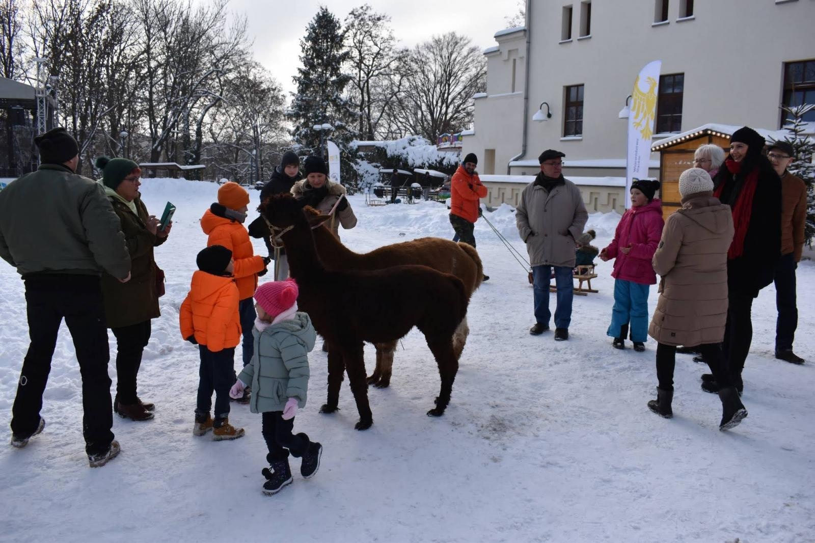 Zdjęcie w galerii na portalu naszraciborz.pl: Mikołaj zszedł z drabiny. Zamkowy jarmark za nami [FOTO i WIDEO] wiadomości z regionu