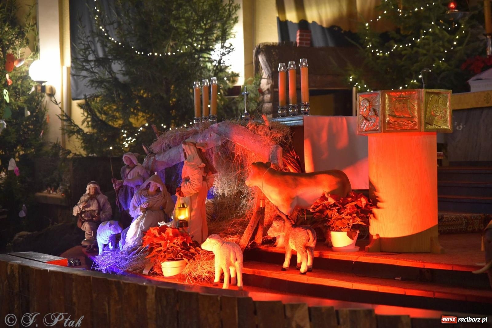 Zdjęcie w galerii na portalu naszraciborz.pl: Cicha noc, święta noc. Pasterka w kościele NSPJ [FOTO] wiadomości z regionu