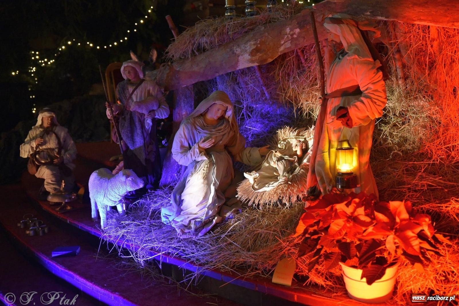 Zdjęcie w galerii na portalu naszraciborz.pl: Cicha noc, święta noc. Pasterka w kościele NSPJ [FOTO] wiadomości z regionu