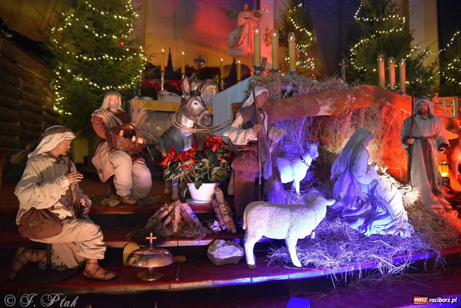Zdjęcie w galerii na portalu naszraciborz.pl: Cicha noc, święta noc. Pasterka w kościele NSPJ [FOTO] wiadomości z regionu
