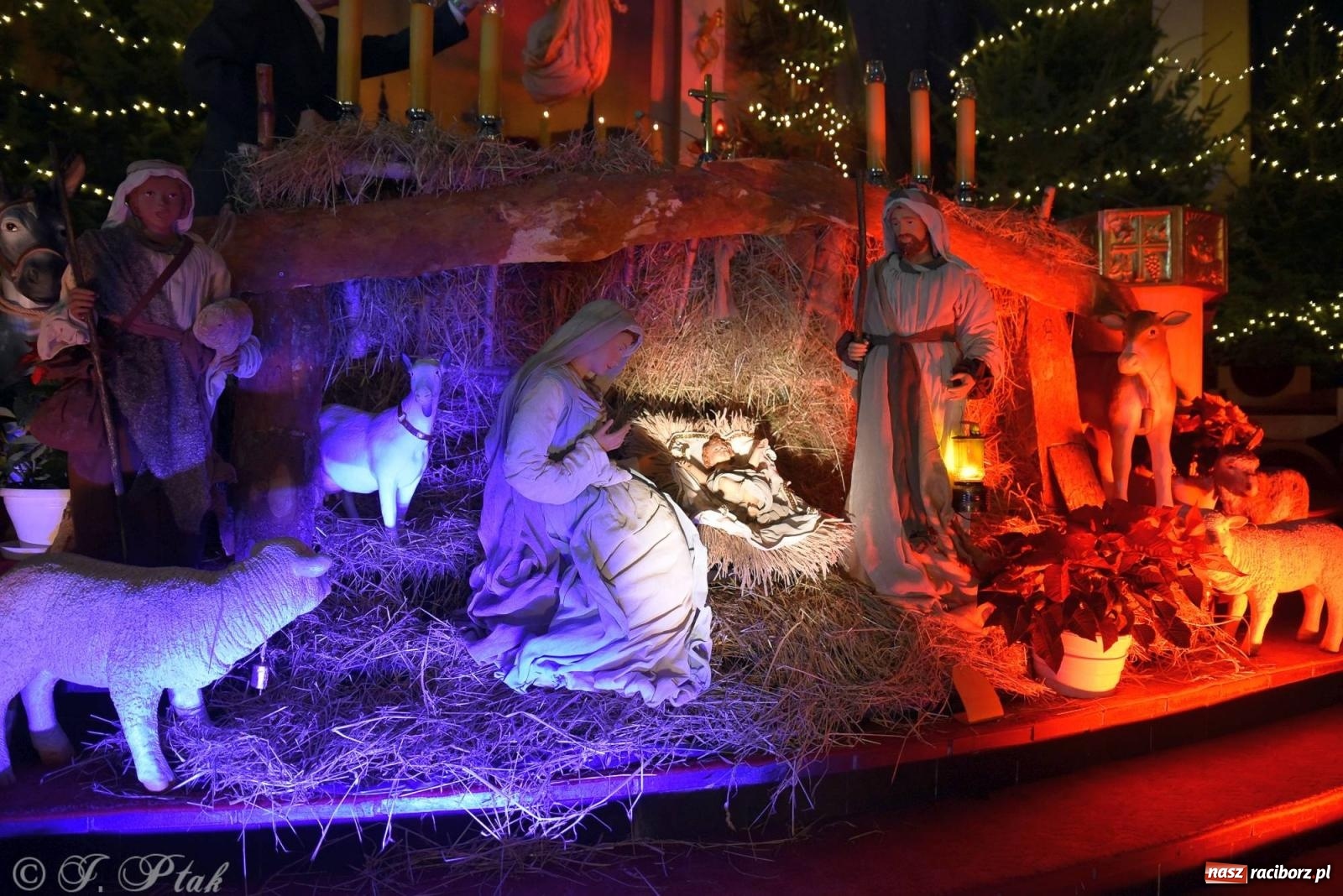 Zdjęcie w galerii na portalu naszraciborz.pl: Cicha noc, święta noc. Pasterka w kościele NSPJ [FOTO] wiadomości z regionu