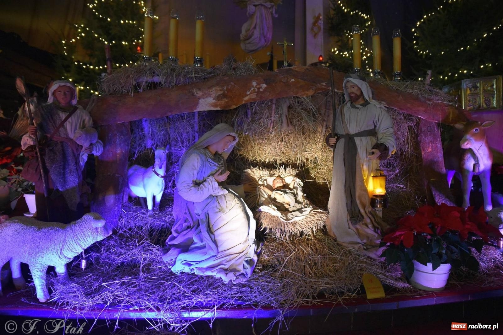 Zdjęcie w galerii na portalu naszraciborz.pl: Cicha noc, święta noc. Pasterka w kościele NSPJ [FOTO] wiadomości z regionu