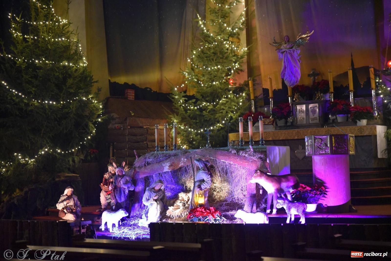 Zdjęcie w galerii na portalu naszraciborz.pl: Cicha noc, święta noc. Pasterka w kościele NSPJ [FOTO] wiadomości z regionu