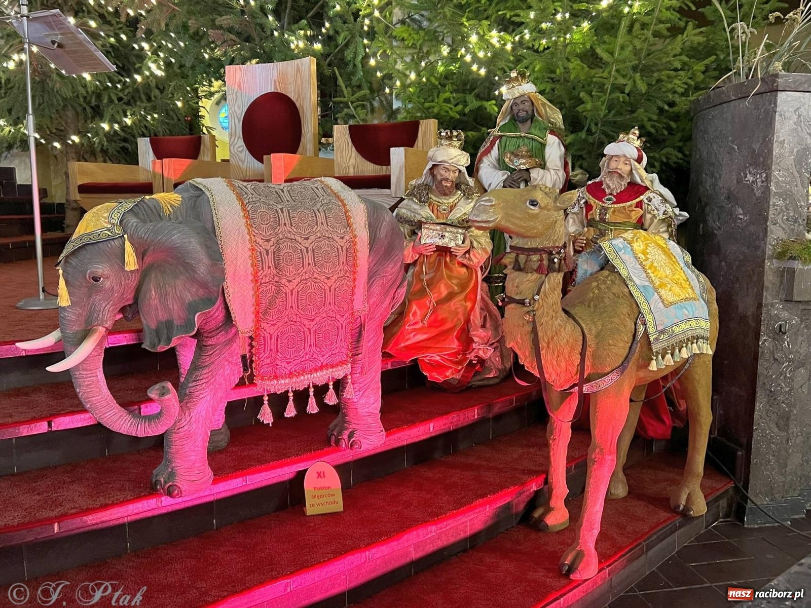 Zdjęcie w galerii na portalu naszraciborz.pl: Cicha noc, święta noc. Pasterka w kościele NSPJ [FOTO] wiadomości z regionu