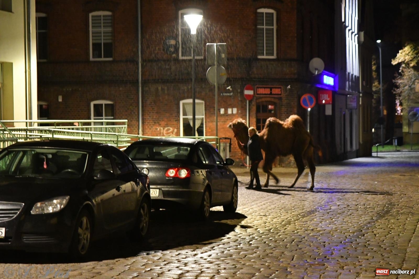 Zdjęcie w galerii na portalu naszraciborz.pl: Raciborskie kolędowanie na Rynku [FOTO i WIDEO] wiadomości z regionu
