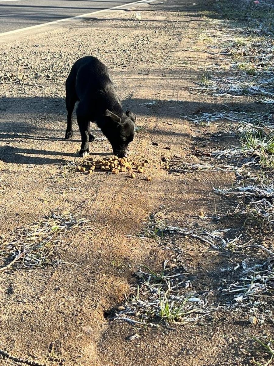 Zdjęcie w galerii na portalu naszraciborz.pl: Dary z powiatu raciborskiego dotarły niemal pod linię frontu. 900 km podróży na zdjęciach wiadomości z regionu