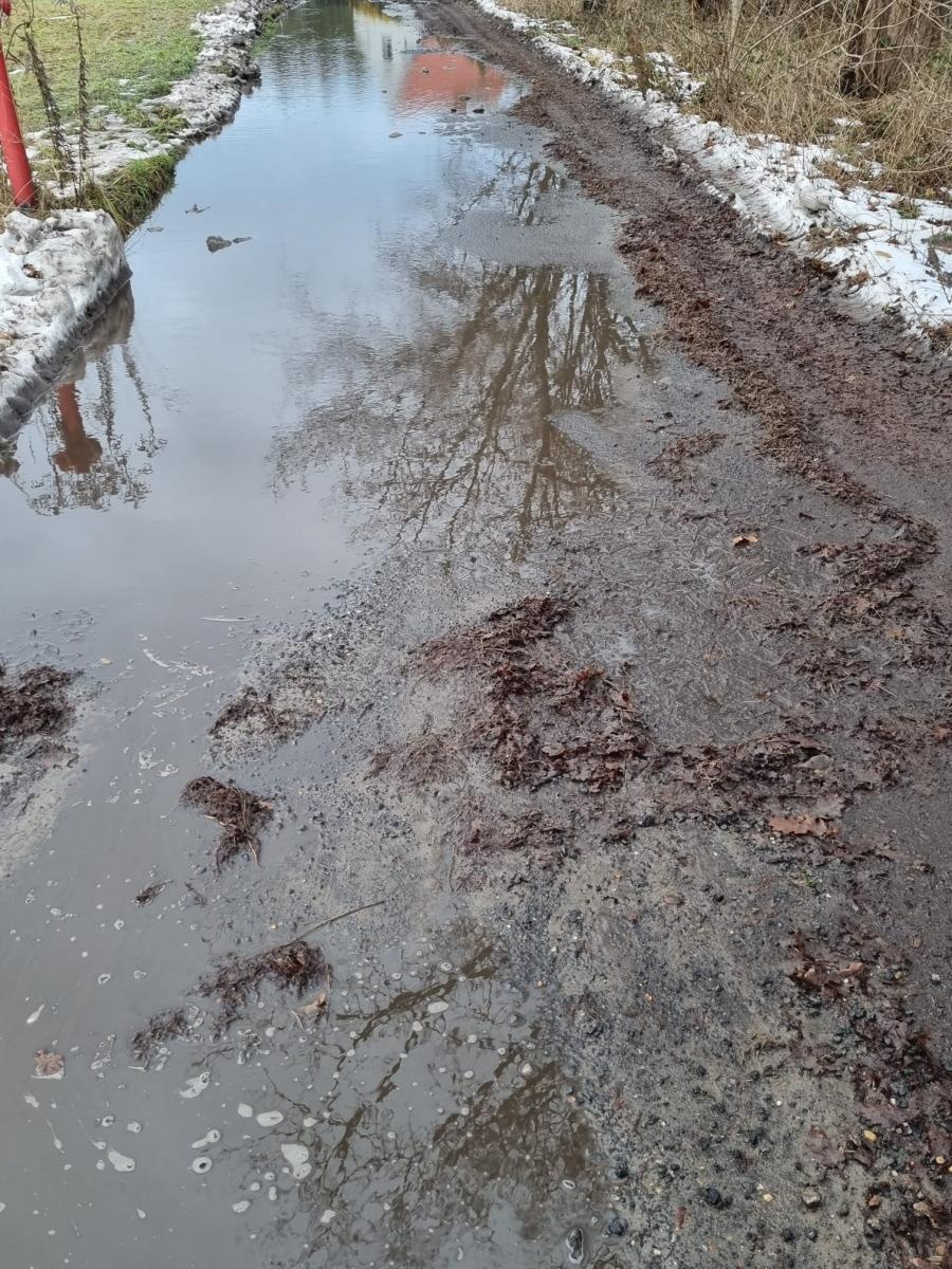 Zdjęcie w galerii na portalu naszraciborz.pl: List do redakcji. Mieszkańcy Sosnowej w Nędzy od sześciu lat domagają się remontu wiadomości z regionu