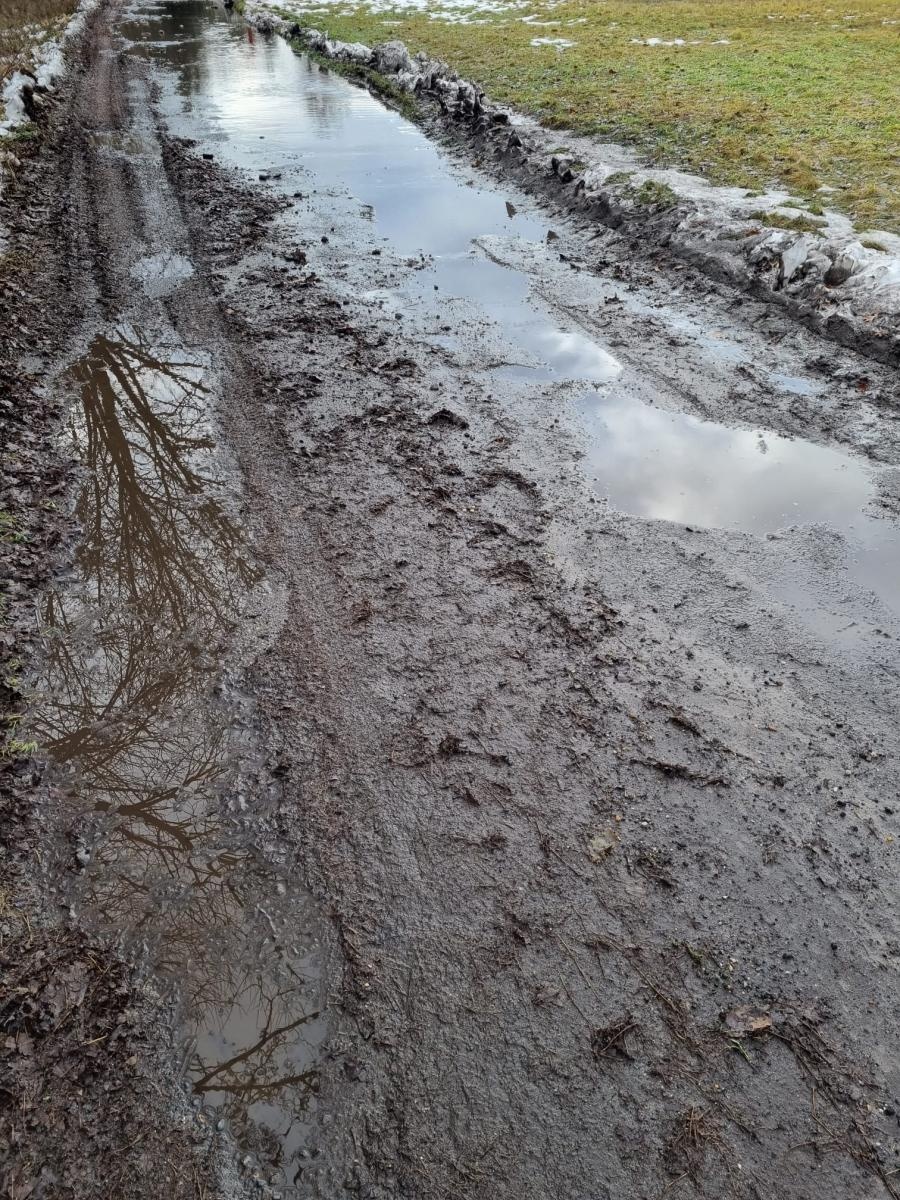 Zdjęcie w galerii na portalu naszraciborz.pl: List do redakcji. Mieszkańcy Sosnowej w Nędzy od sześciu lat domagają się remontu wiadomości z regionu