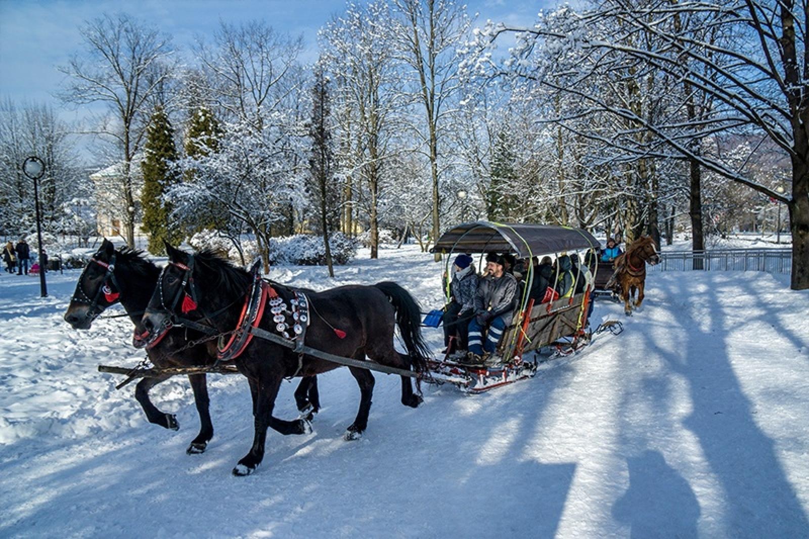 Zdjęcie w galerii na portalu naszraciborz.pl: Poczuj prawdziwą zimę i ruszaj z nami na kulig do Koniakowa! wiadomości z regionu
