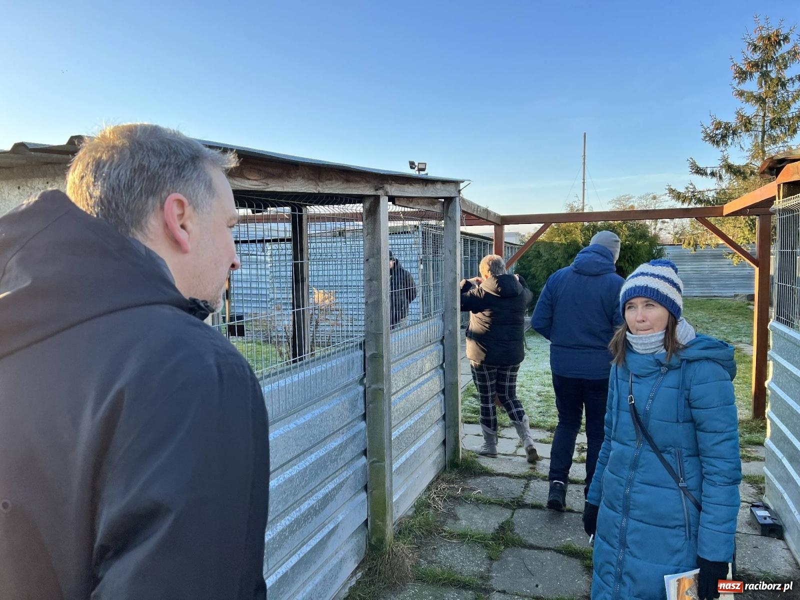 Zdjęcie w galerii na portalu naszraciborz.pl: Racibórz bez schroniska dla bezdomnych zwierząt? wiadomości z regionu